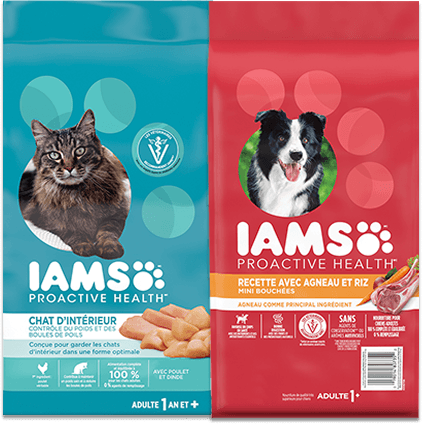 IAMS Proactive Health