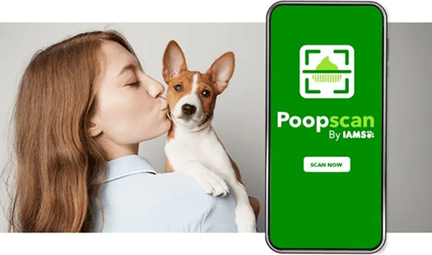 Woman kissing a dog